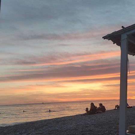 דרמי Glamping Rooms At The Sea Turtle מראה חיצוני תמונה