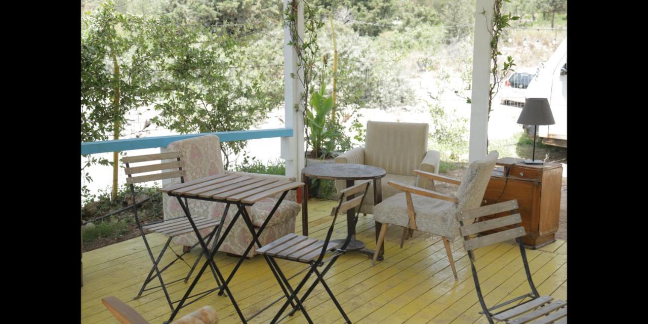 דרמי Glamping Rooms At The Sea Turtle מראה חיצוני תמונה