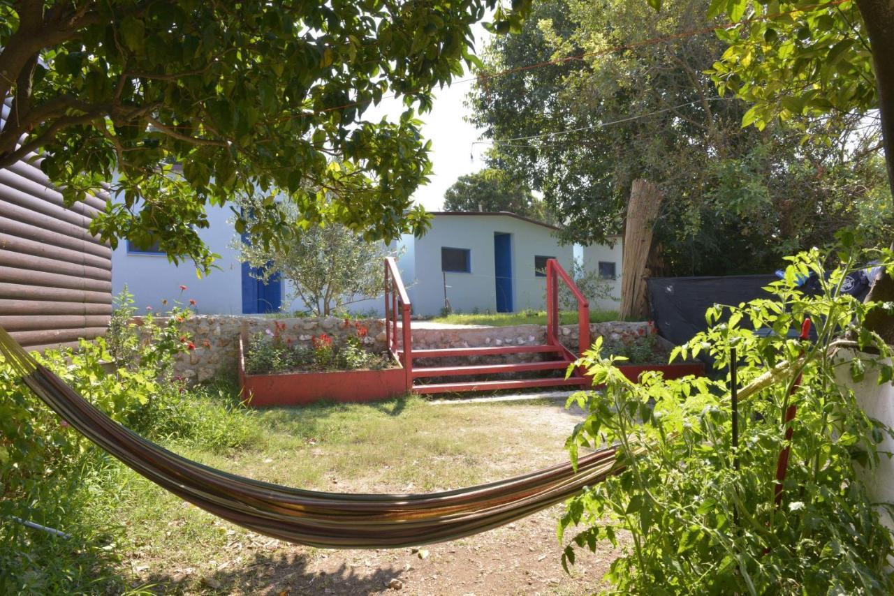 דרמי Glamping Rooms At The Sea Turtle מראה חיצוני תמונה