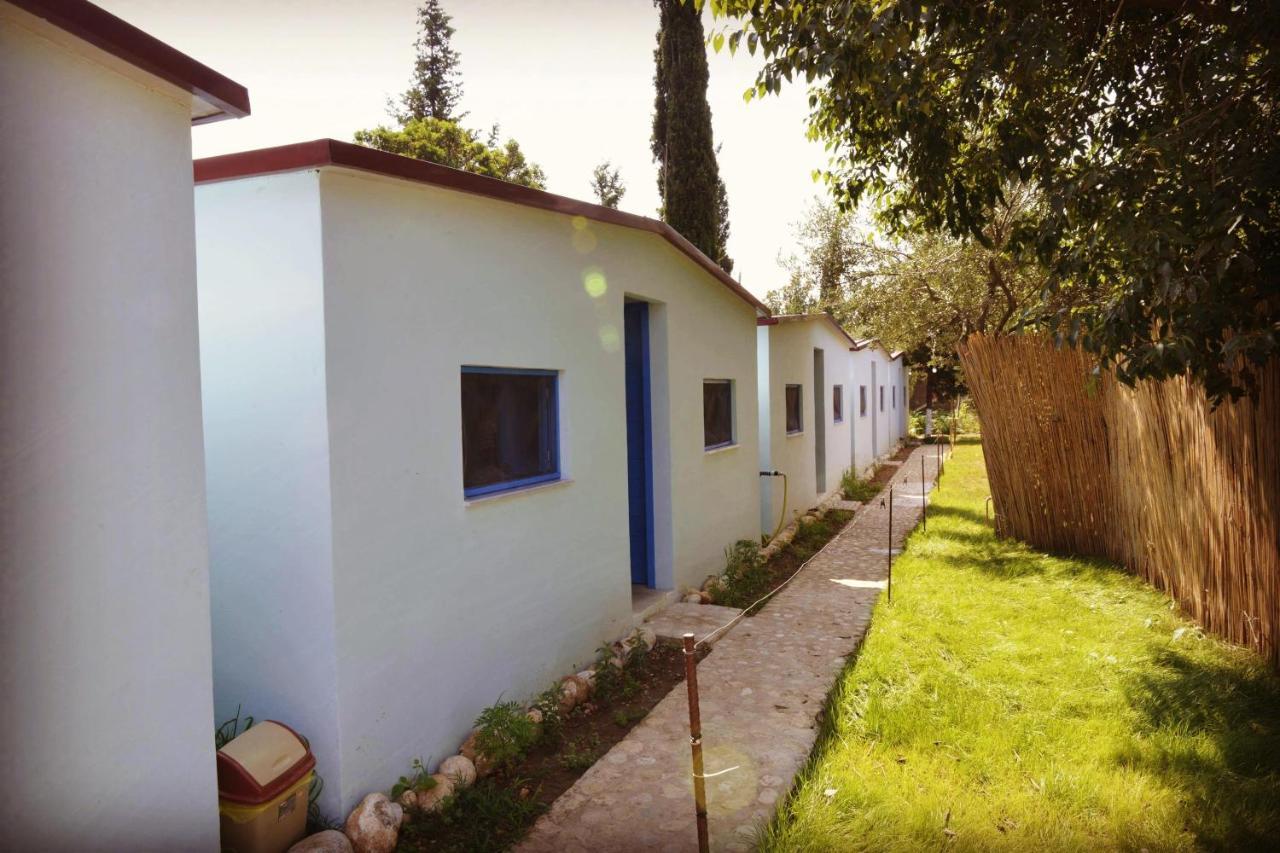 דרמי Glamping Rooms At The Sea Turtle מראה חיצוני תמונה