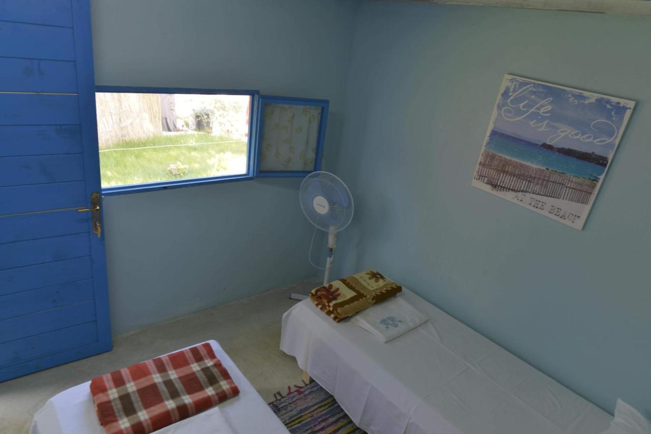 דרמי Glamping Rooms At The Sea Turtle מראה חיצוני תמונה