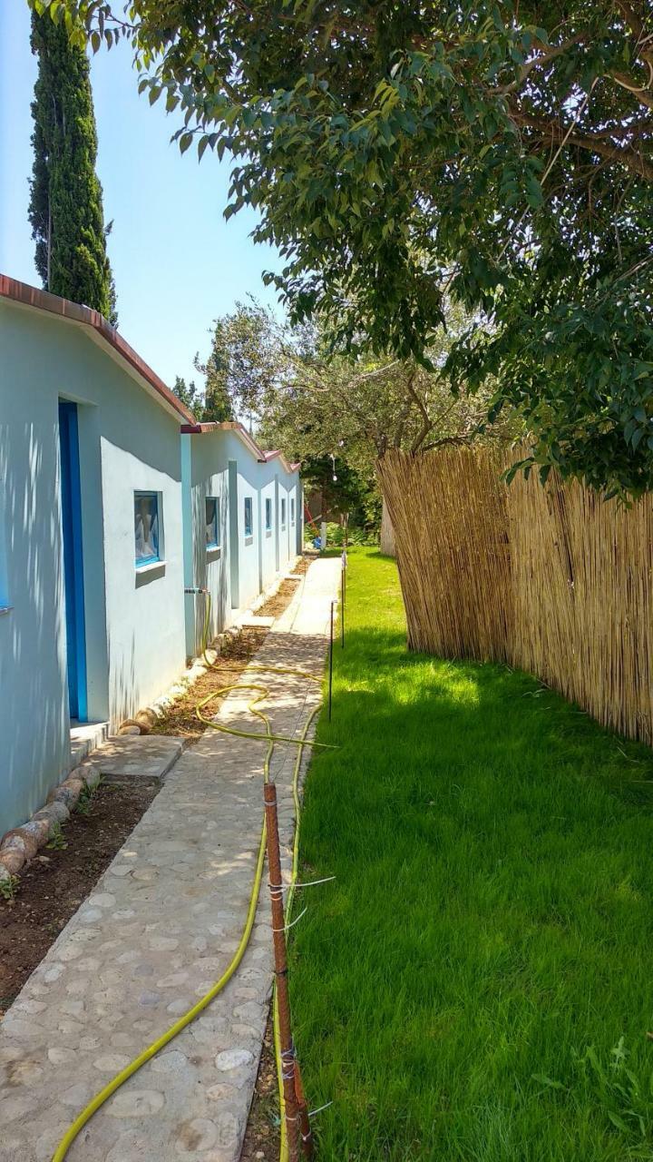 דרמי Glamping Rooms At The Sea Turtle מראה חיצוני תמונה