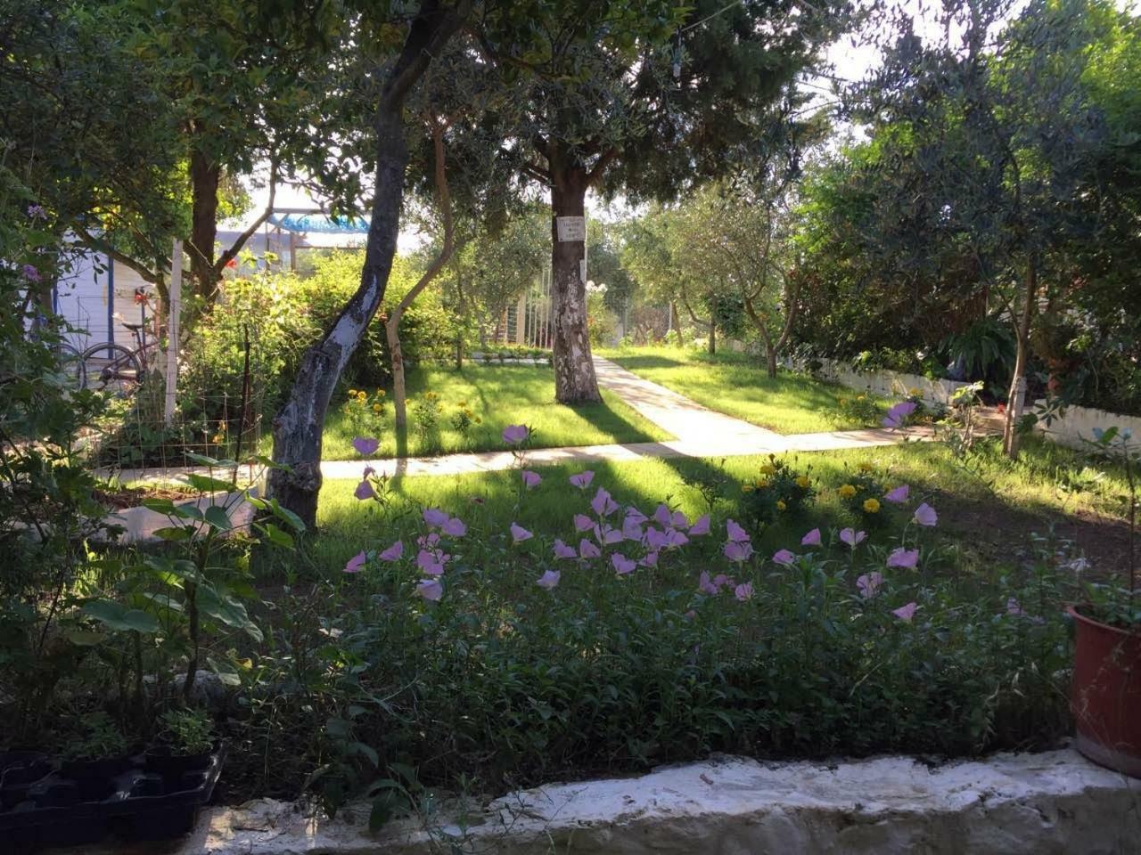דרמי Glamping Rooms At The Sea Turtle מראה חיצוני תמונה