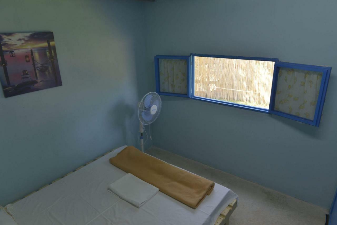 דרמי Glamping Rooms At The Sea Turtle מראה חיצוני תמונה