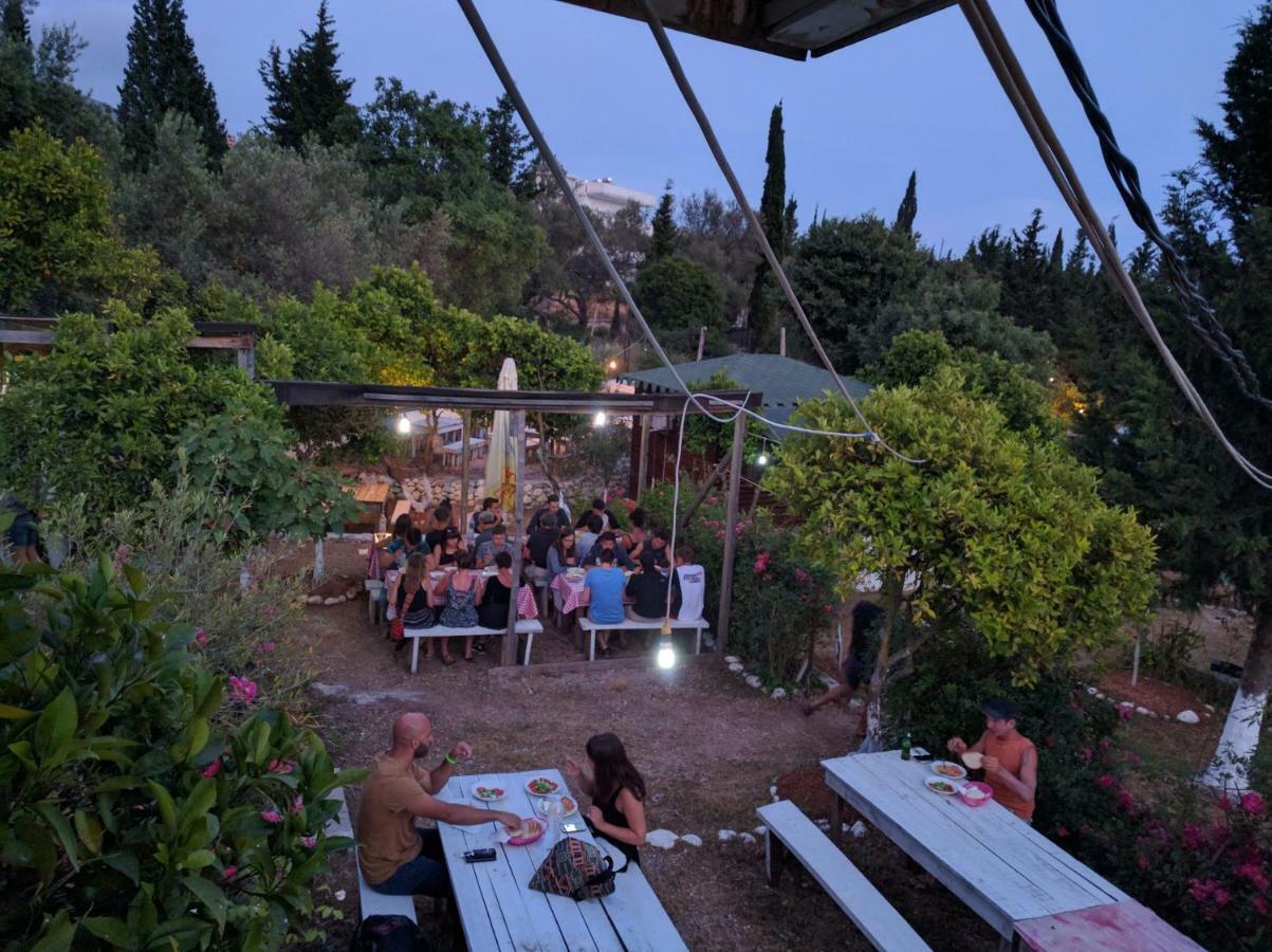 דרמי Glamping Rooms At The Sea Turtle מראה חיצוני תמונה